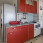 Stivic Apartment
